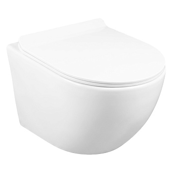 CS46TK-M Унитаз Calypso подвес 490*370*360мм, смыв rimless безобод, сид-е дюр-т микр-т 2кн, гор. вып